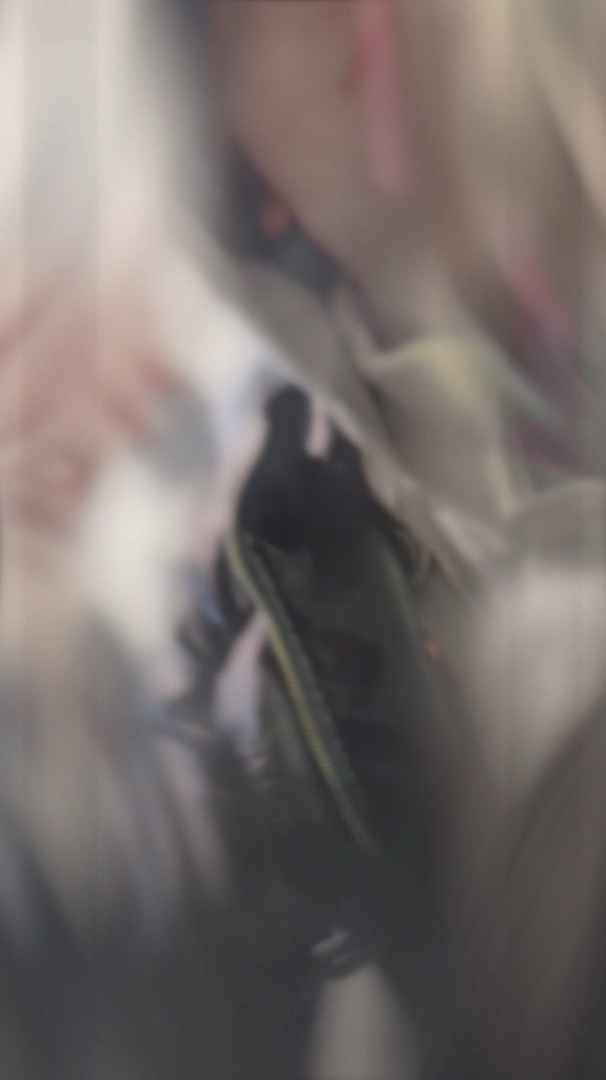 GFX screenshot.